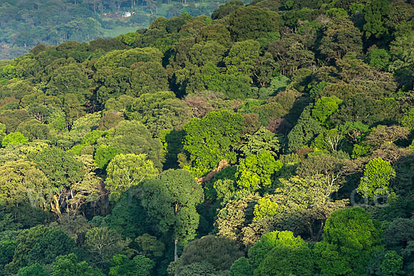 Aethiopien (Ethiopia)