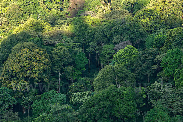 Aethiopien (Ethiopia)