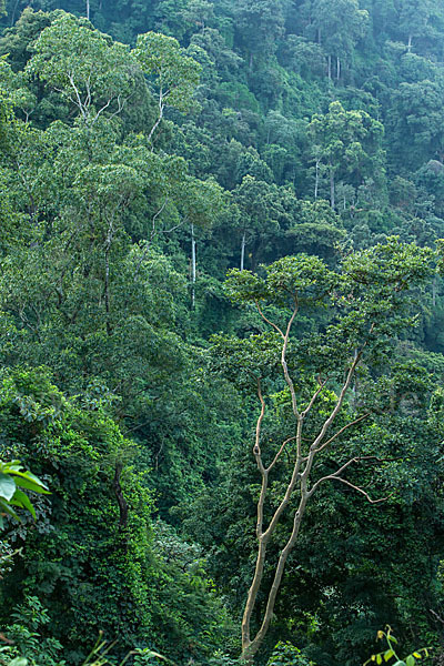 Aethiopien (Ethiopia)