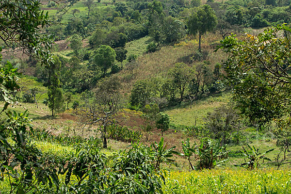 Aethiopien (Ethiopia)