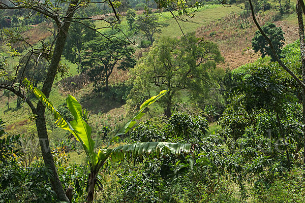 Aethiopien (Ethiopia)