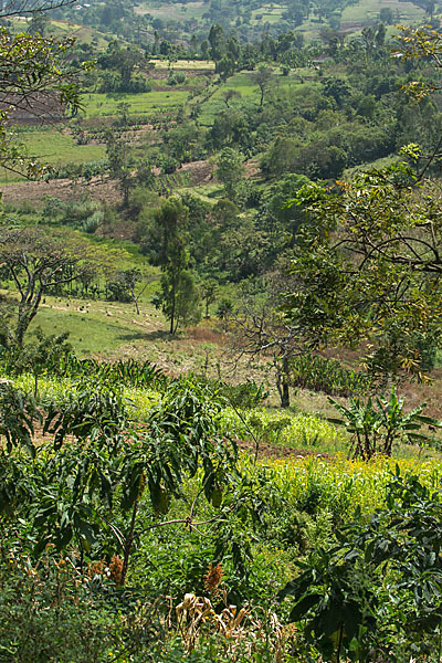 Aethiopien (Ethiopia)