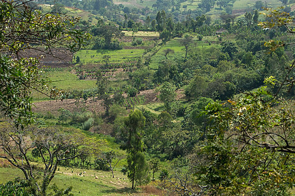 Aethiopien (Ethiopia)