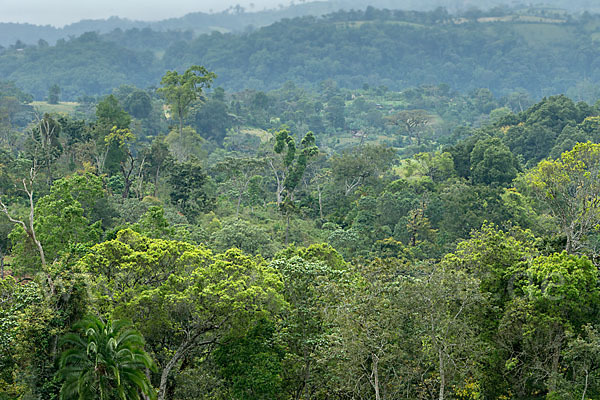 Aethiopien (Ethiopia)