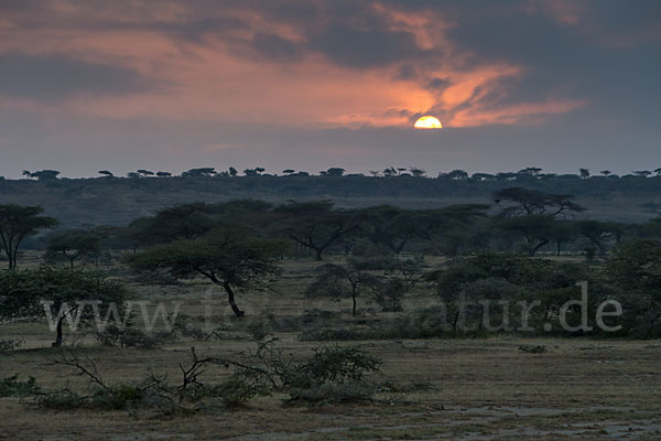 Aethiopien (Ethiopia)