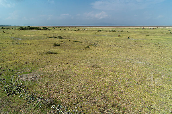 Aethiopien (Ethiopia)