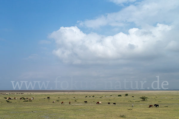 Aethiopien (Ethiopia)