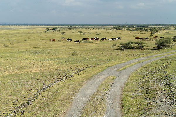 Aethiopien (Ethiopia)