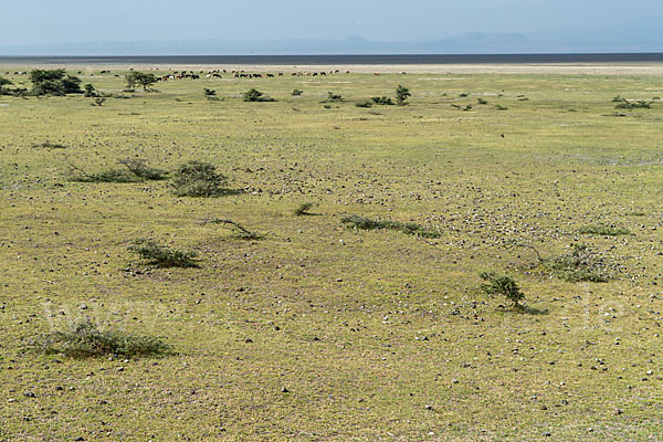 Aethiopien (Ethiopia)