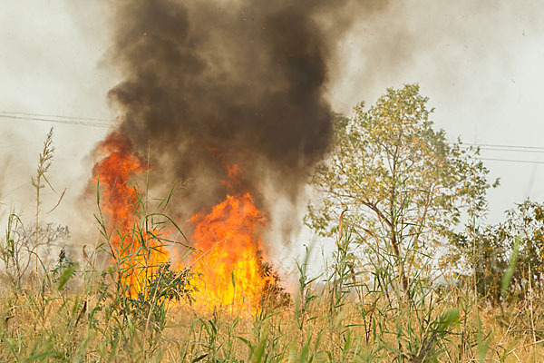 Aethiopien (Ethiopia)