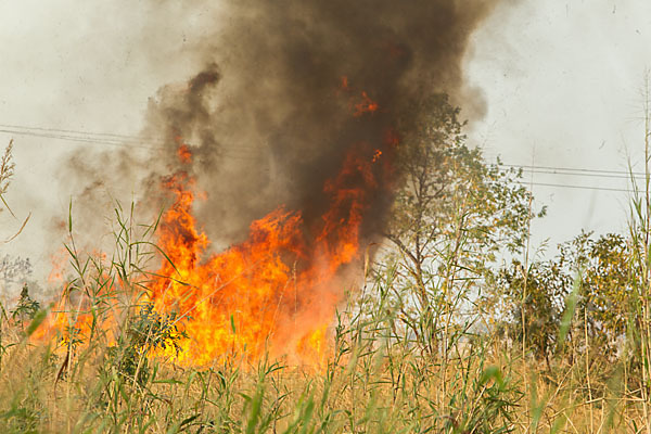 Aethiopien (Ethiopia)