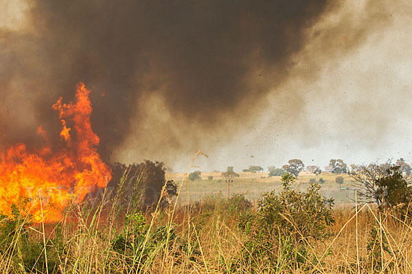 Aethiopien (Ethiopia)