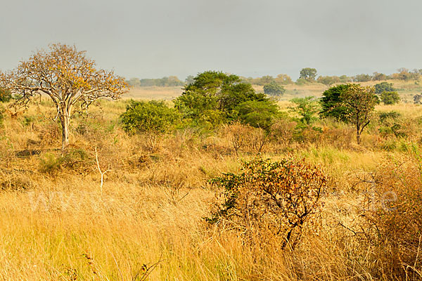 Aethiopien (Ethiopia)