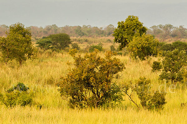 Aethiopien (Ethiopia)