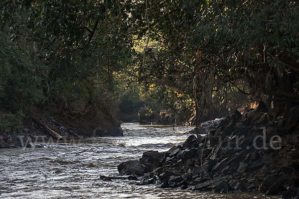 Aethiopien (Ethiopia)