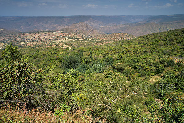 Aethiopien (Ethiopia)