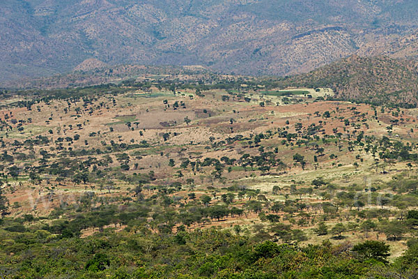 Aethiopien (Ethiopia)