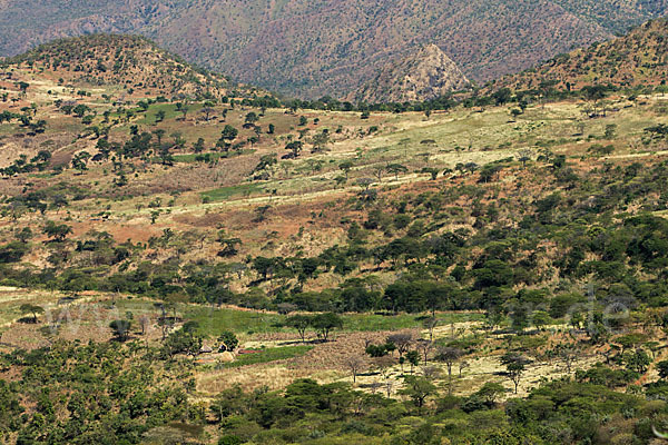 Aethiopien (Ethiopia)