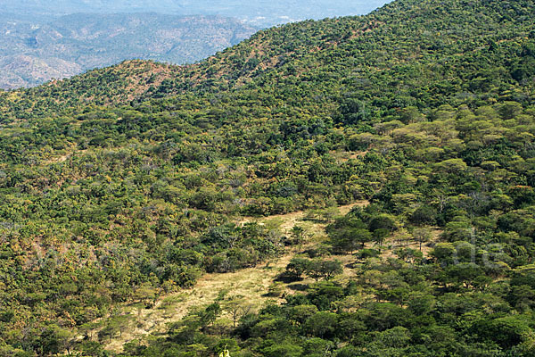 Aethiopien (Ethiopia)