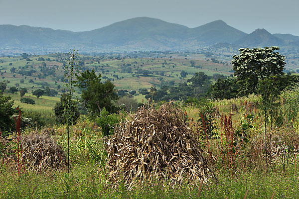 Aethiopien (Ethiopia)