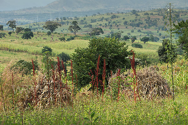 Aethiopien (Ethiopia)