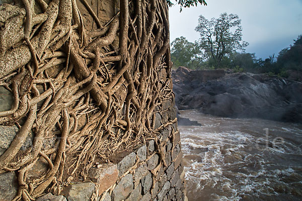 Aethiopien (Ethiopia)