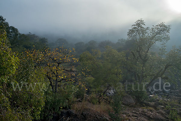 Aethiopien (Ethiopia)