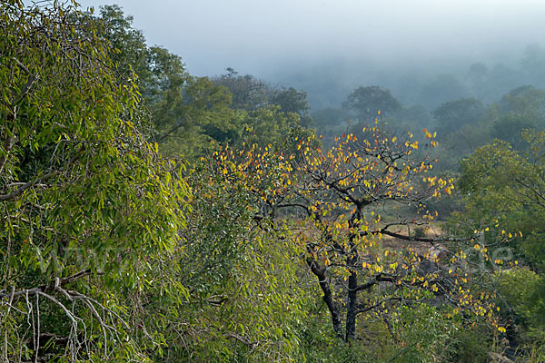 Aethiopien (Ethiopia)