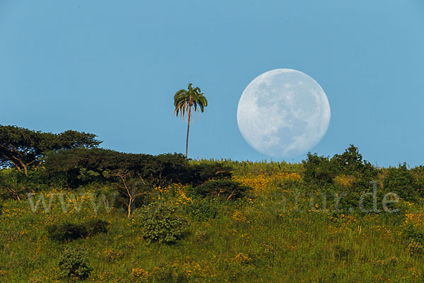 Aethiopien (Ethiopia)