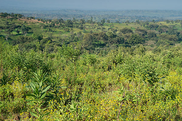 Aethiopien (Ethiopia)