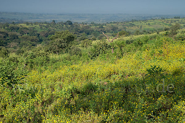 Aethiopien (Ethiopia)