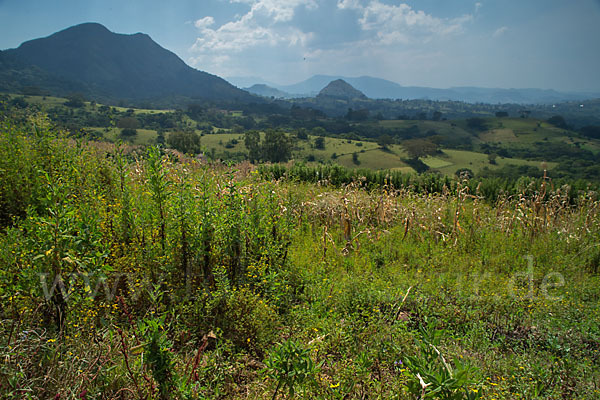 Aethiopien (Ethiopia)