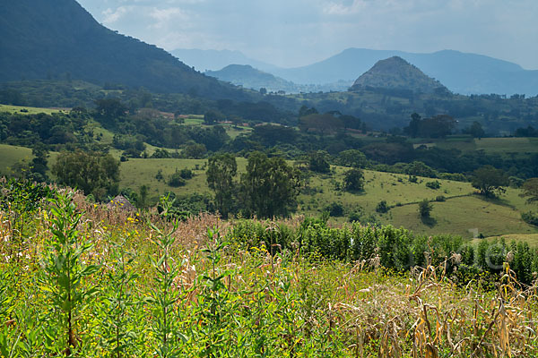 Aethiopien (Ethiopia)