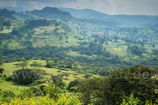 Aethiopien (Ethiopia)