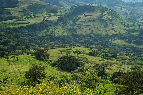 Aethiopien (Ethiopia)