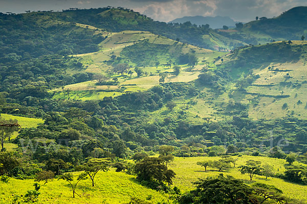 Aethiopien (Ethiopia)