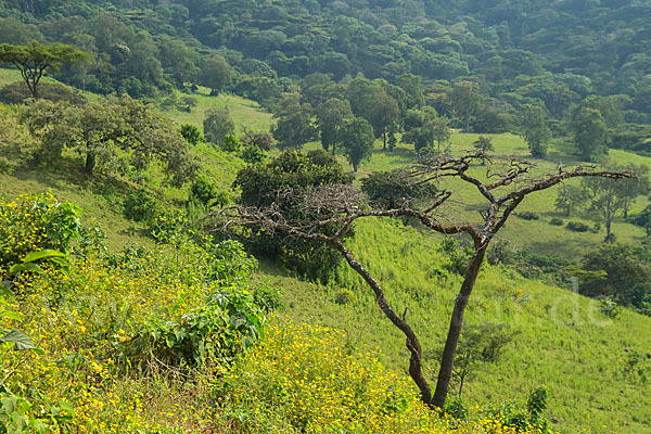 Aethiopien (Ethiopia)