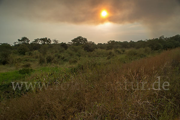 Aethiopien (Ethiopia)