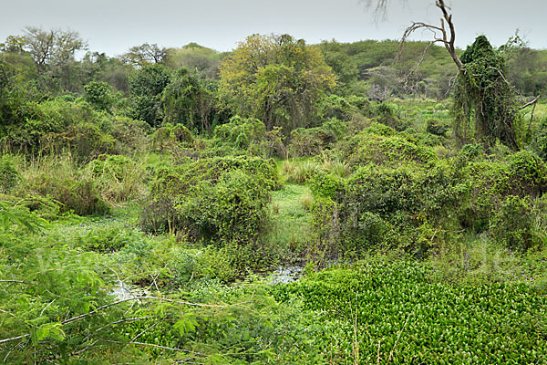 Aethiopien (Ethiopia)