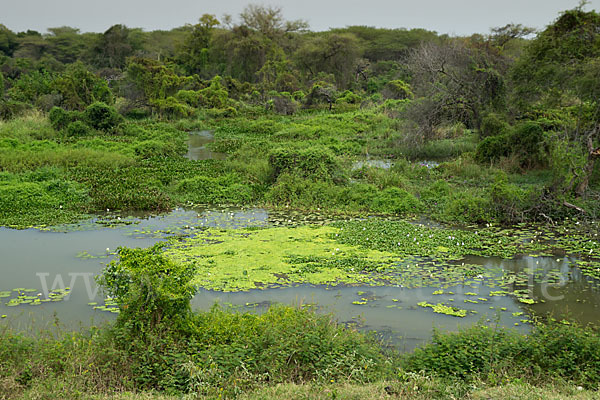 Aethiopien (Ethiopia)