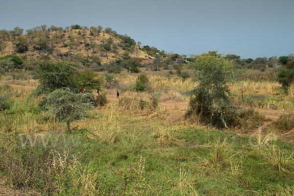 Aethiopien (Ethiopia)