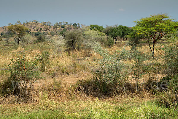 Aethiopien (Ethiopia)