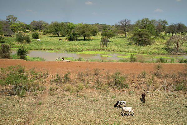 Aethiopien (Ethiopia)