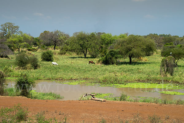 Aethiopien (Ethiopia)