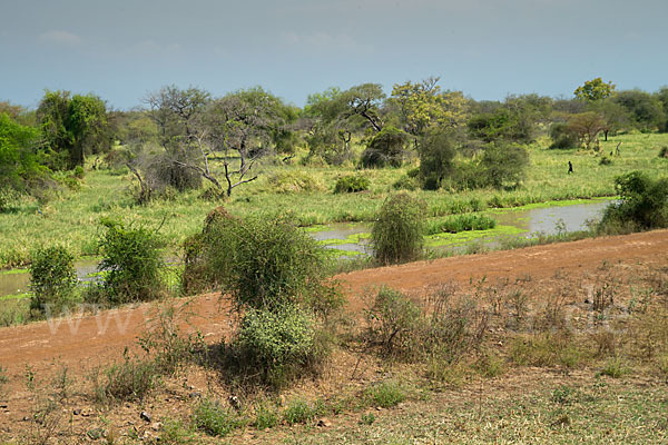 Aethiopien (Ethiopia)