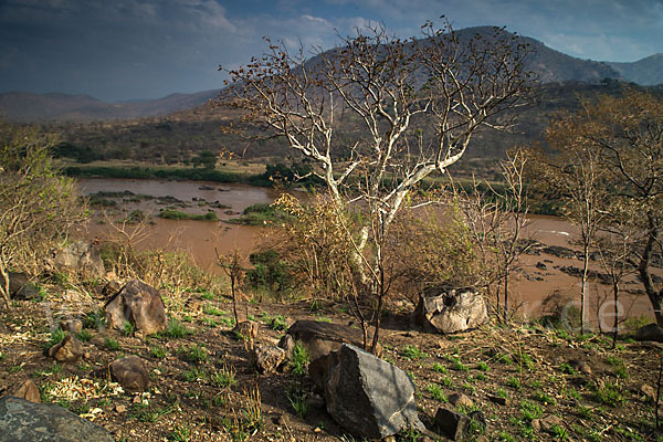 Aethiopien (Ethiopia)