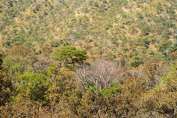 Aethiopien (Ethiopia)