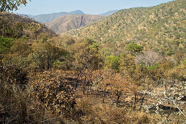 Aethiopien (Ethiopia)