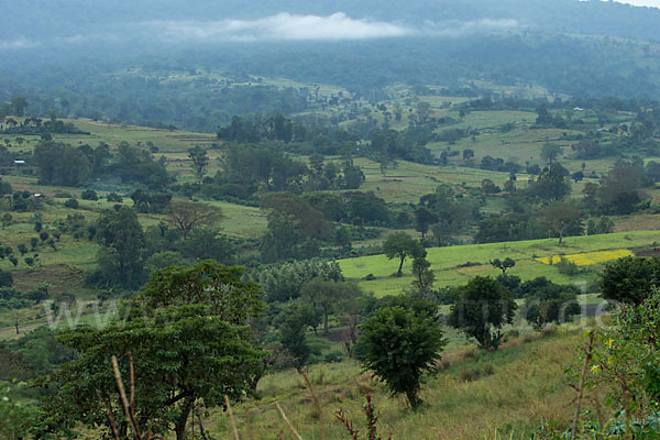 Aethiopien (Ethiopia)