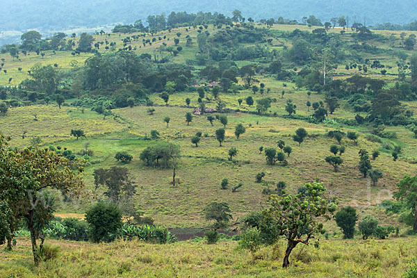 Aethiopien (Ethiopia)